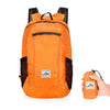 20L Lightweight Portable Foldable Backpack Waterproof